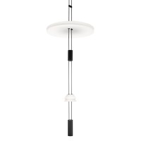 Подвесной светильник LOFT IT Flamingo 10598C