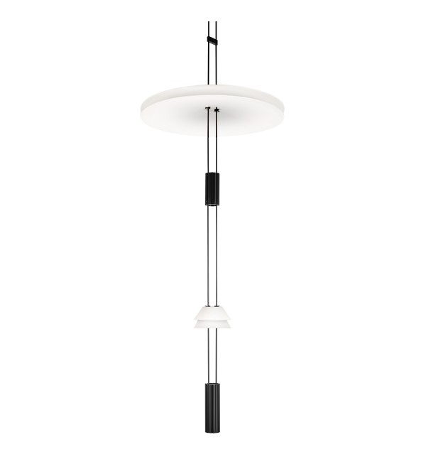 Подвесной светильник LOFT IT Flamingo 10598C