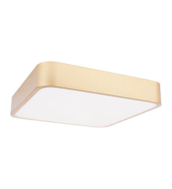 Потолочный светильник LOFT IT Flims 10228/C