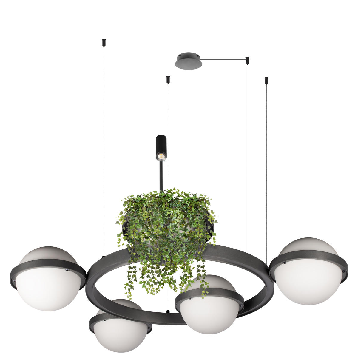Подвесной светильник LOFT IT Jardin 10121/4 Dark grey