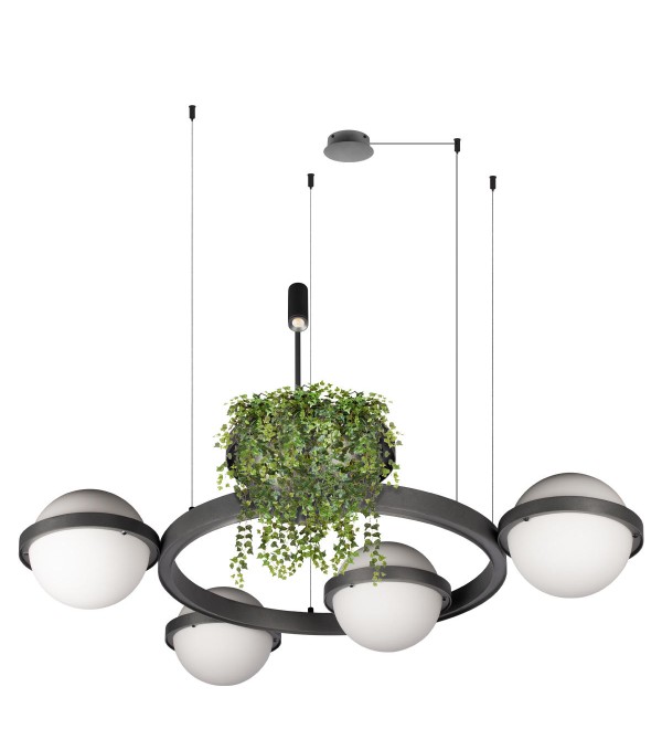 Подвесной светильник LOFT IT Jardin 10121/4 Dark grey