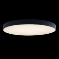 Потолочный светильник LOFT IT Axel 10002/48 Black