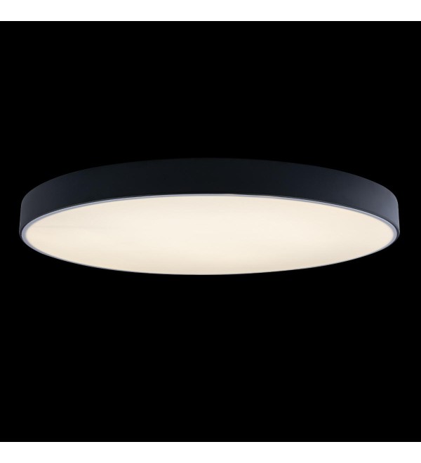 Потолочный светильник LOFT IT Axel 10002/48 Black