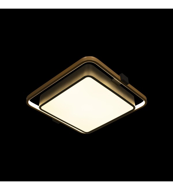 Потолочный светильник LOFT IT Mike 10171