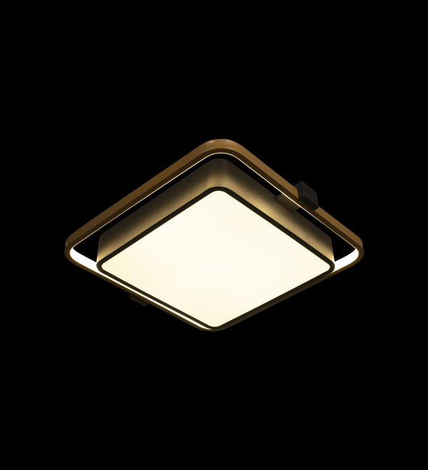 Потолочный светильник LOFT IT Mike 10171