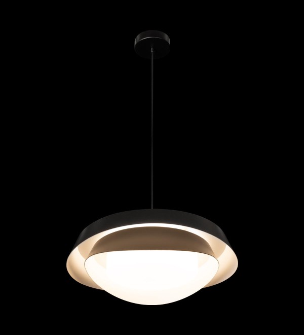 Подвесной светильник LOFT IT Petale 10256P Black