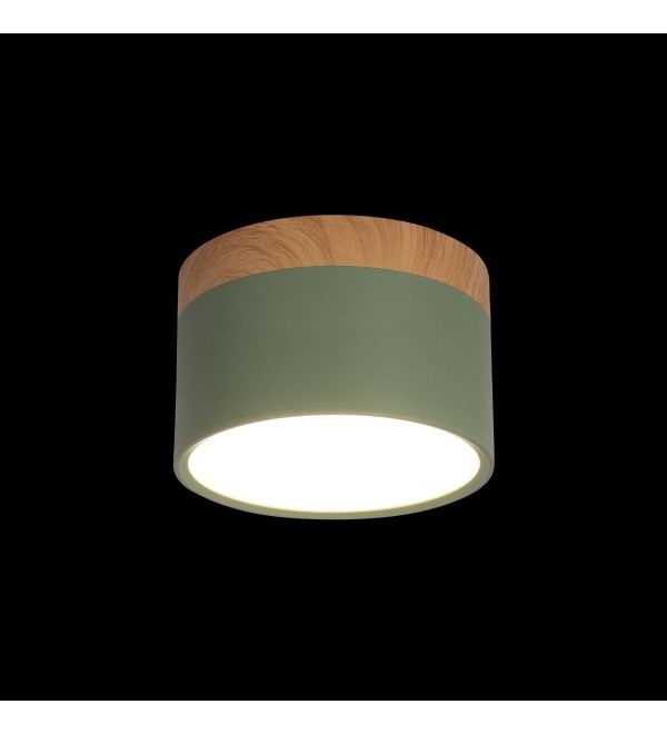 Накладной светильник LOFT IT Grape 10162 Green