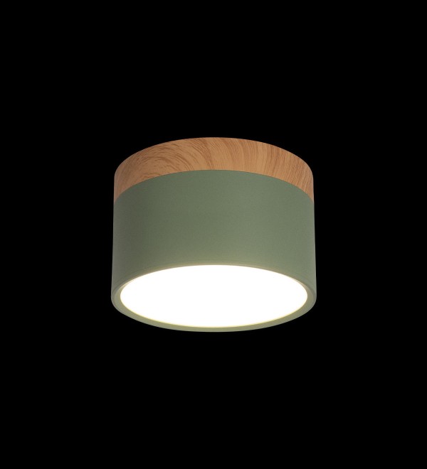 Накладной светильник LOFT IT Grape 10162 Green