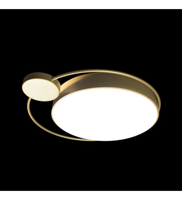 Потолочный светильник LOFT IT Mike 10063