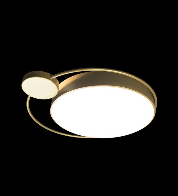 Потолочный светильник LOFT IT Mike 10063