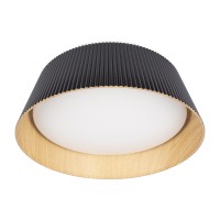 Потолочный светильник LOFT IT Evans 10224 Black