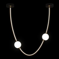 Подвесной светильник LOFT IT Embrace 10242/600 Black