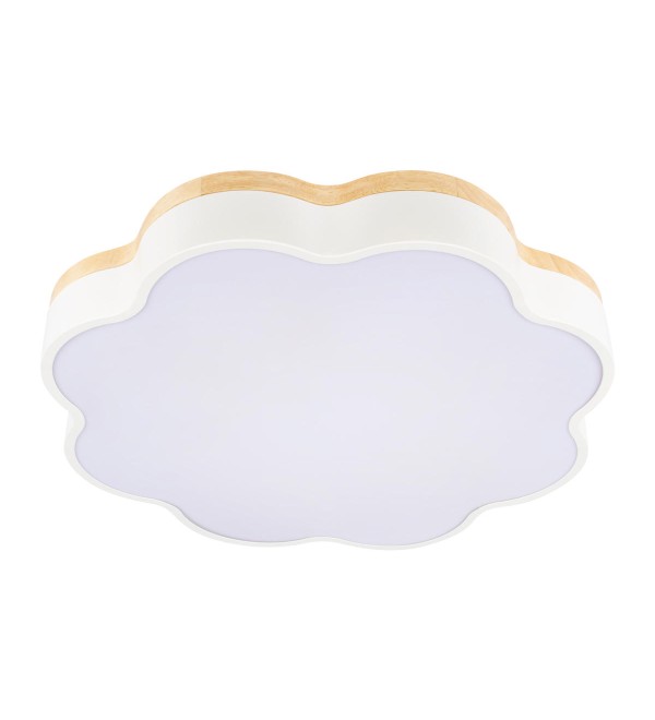 Потолочный светильник LOFT IT Axel 10225/36 White