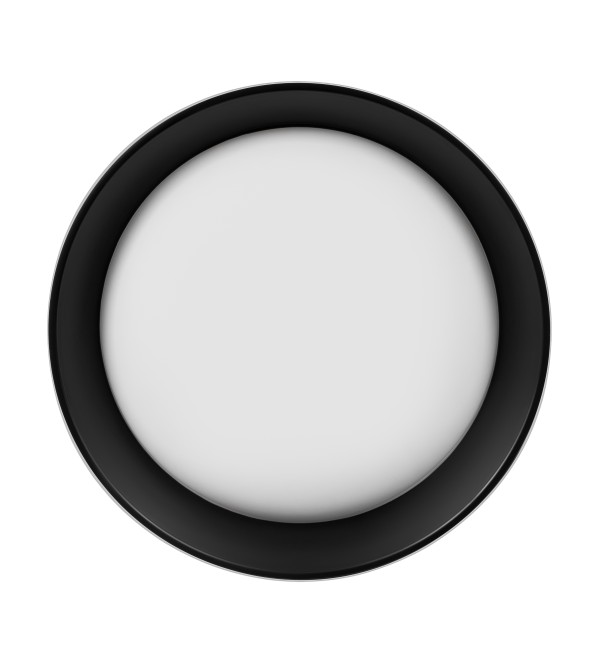 Потолочный светильник LOFT IT Coin 10202 WB