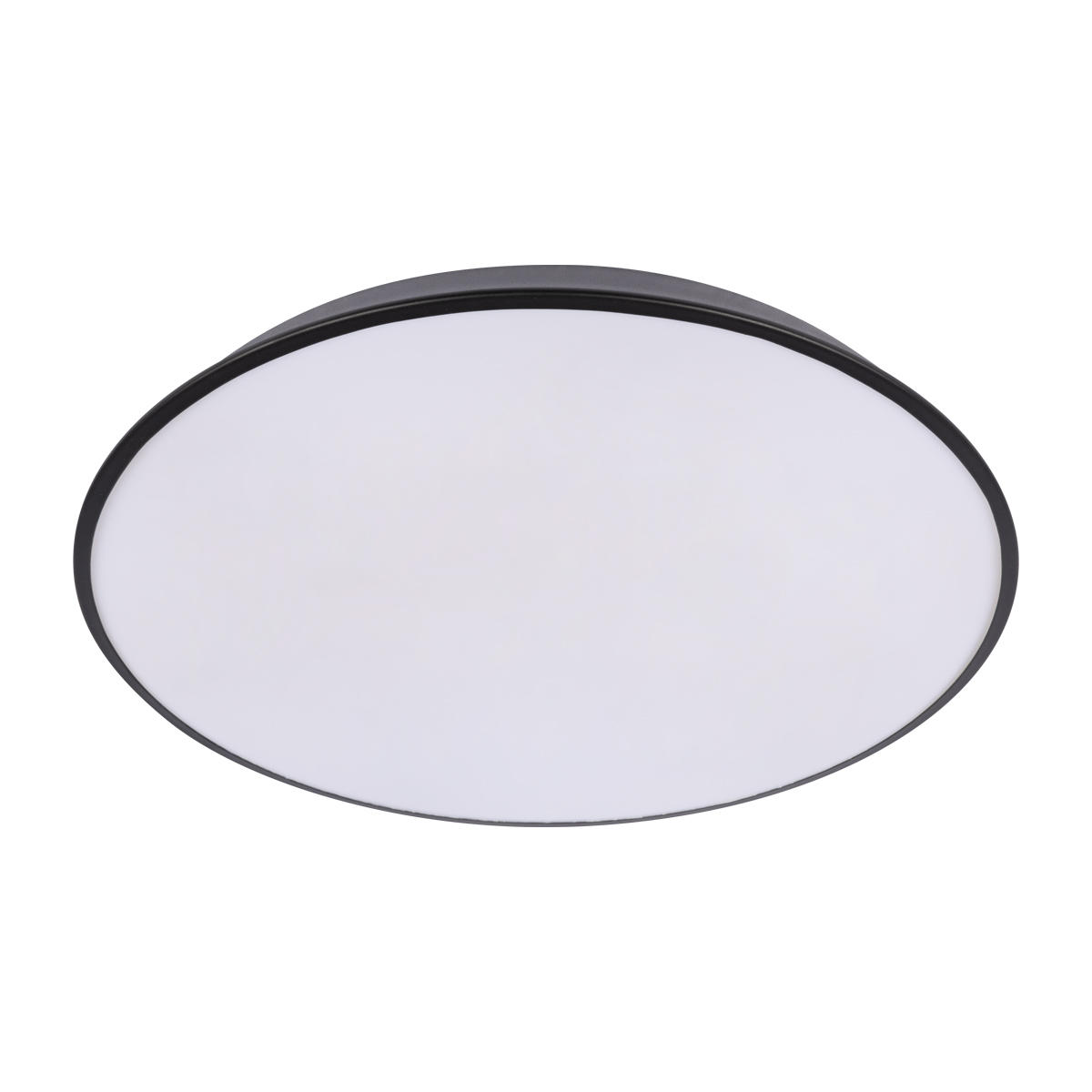 Потолочный светильник LOFT IT Brim 10226 Black