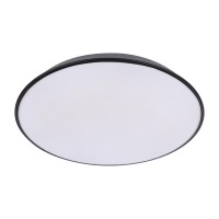 Потолочный светильник LOFT IT Brim 10226 Black