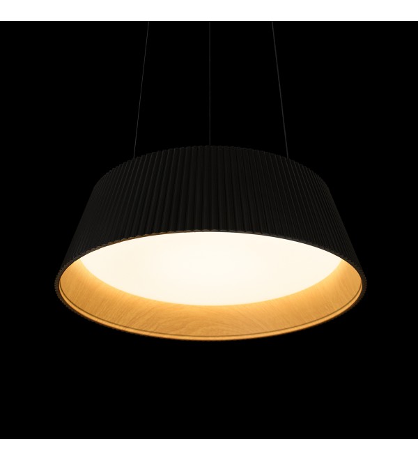 Подвесной светильник LOFT IT Evans 10224P Black