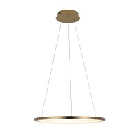 Подвесной светильник LOFT IT Ring 10014M