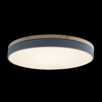 Потолочный светильник LOFT IT Axel 10001/36 Grey