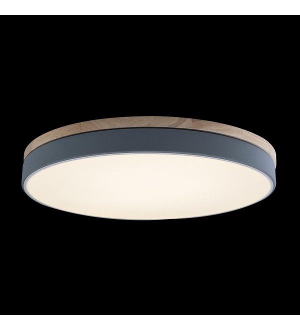Потолочный светильник LOFT IT Axel 10001/36 Grey