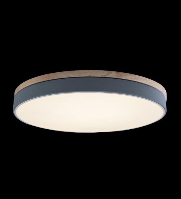 Потолочный светильник LOFT IT Axel 10001/36 Grey