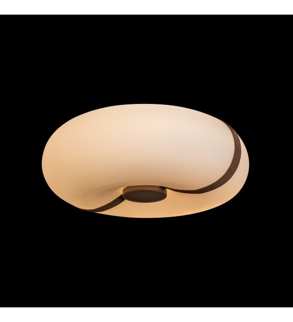 Потолочный светильник LOFT IT Bolina 10473
