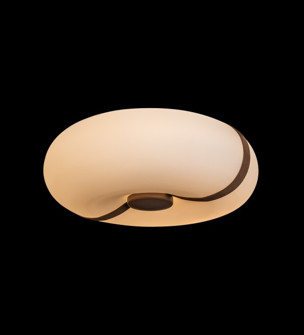 Потолочный светильник LOFT IT Bolina 10473