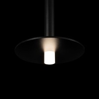 Подвесной светильник LOFT IT Reed 10358/830 Disk