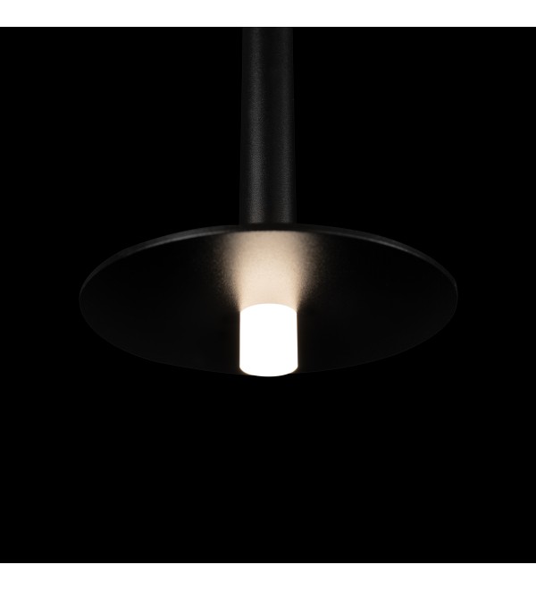 Подвесной светильник LOFT IT Reed 10358/830 Disk