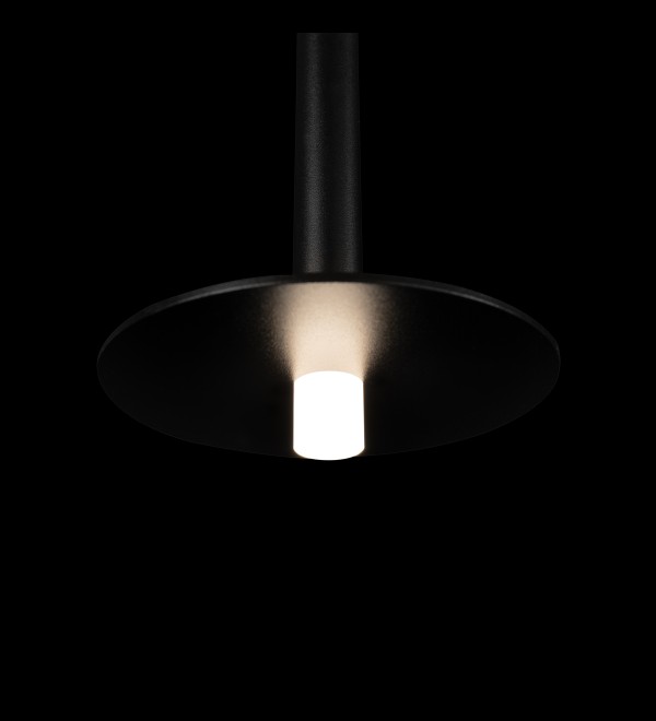 Подвесной светильник LOFT IT Reed 10358/830 Disk