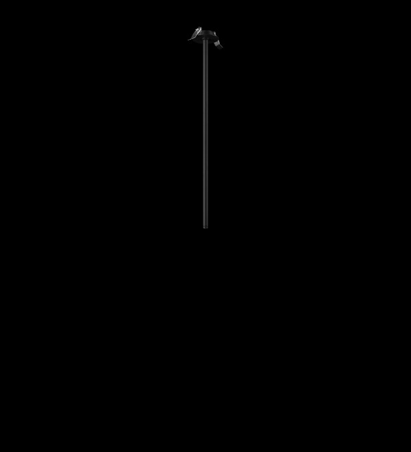 Потолочный светильник LOFT IT Cane 10359/600 Black