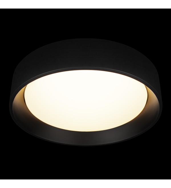 Потолочный светильник LOFT IT Coin 10202 BB