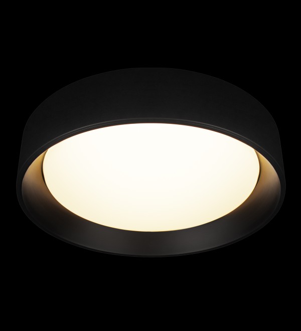 Потолочный светильник LOFT IT Coin 10202 BB