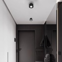 Потолочный светильник LOFT IT Tictac 10219 Black 4000K