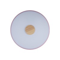 Потолочный светильник LOFT IT Axel 10003/24 Pink