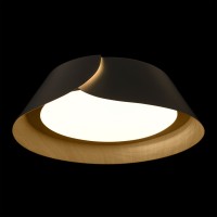 Потолочный светильник LOFT IT Lane 10370 Black