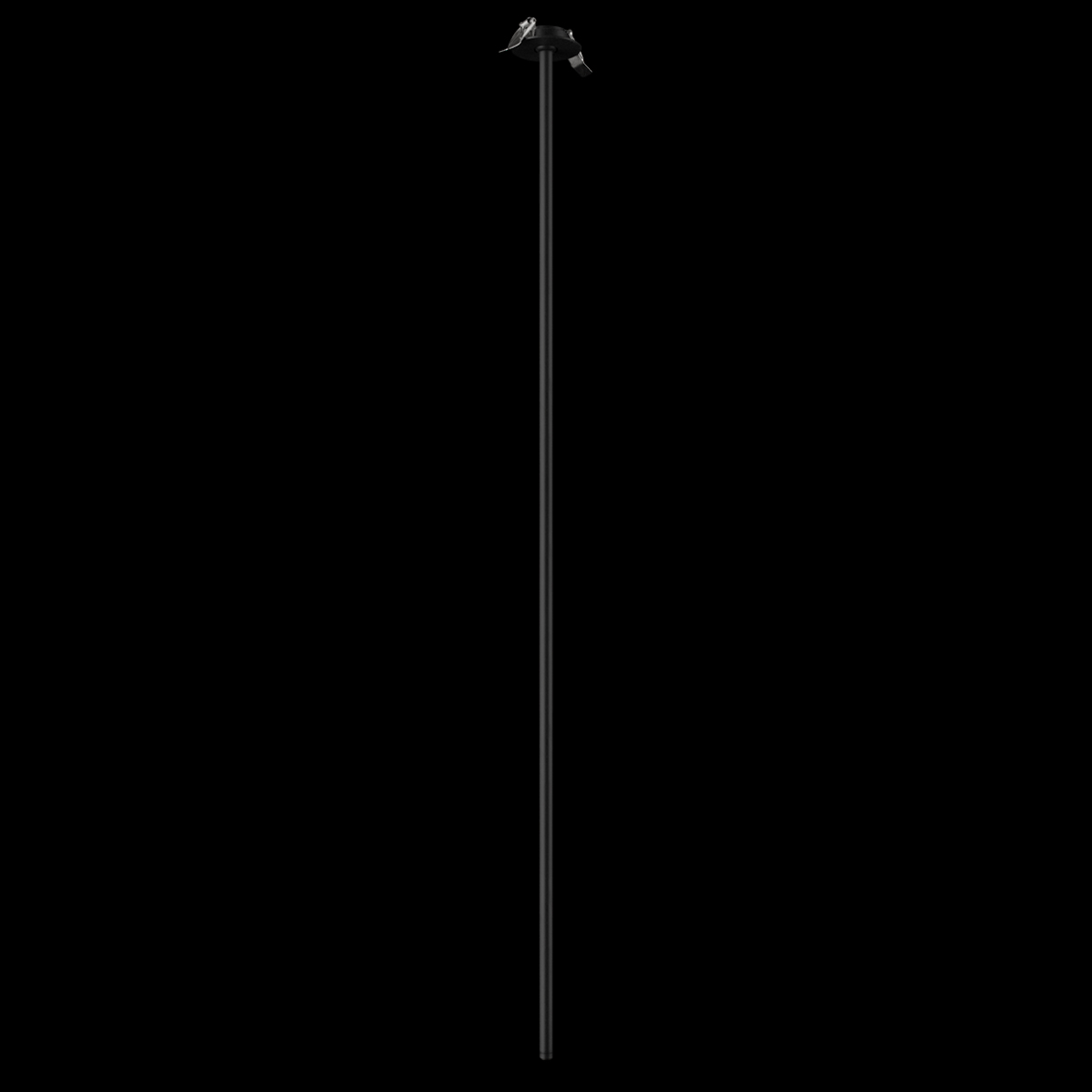 Потолочный светильник LOFT IT Cane 10359/1200 Black