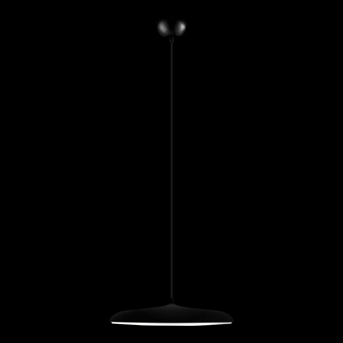 Подвесной светильник LOFT IT Plato 10119 Black
