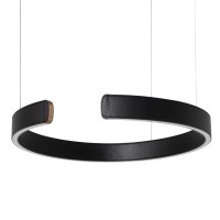 Подвесной светильник LOFT IT Ring 10025/400 Black