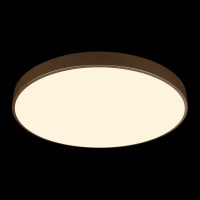Потолочный светильник LOFT IT Flims 10228/B