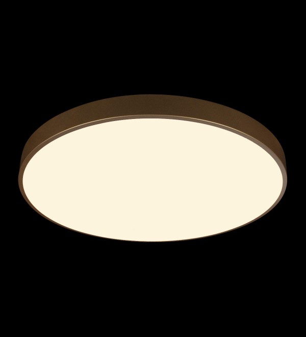 Потолочный светильник LOFT IT Flims 10228/B