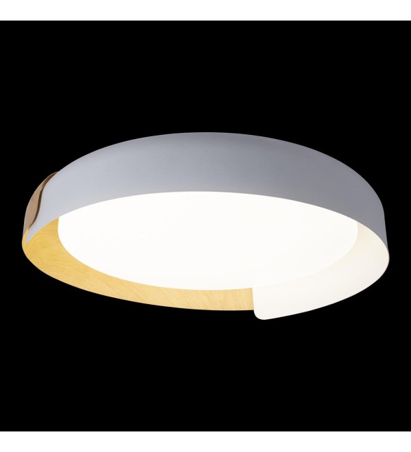 Потолочный светильник LOFT IT Coin 10198 White