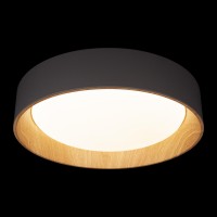 Потолочный светильник LOFT IT Coin 10202 Grey
