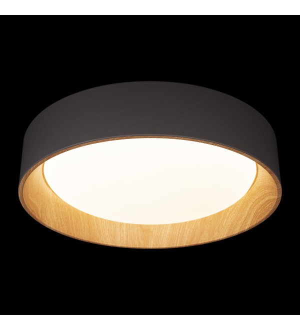 Потолочный светильник LOFT IT Coin 10202 Grey