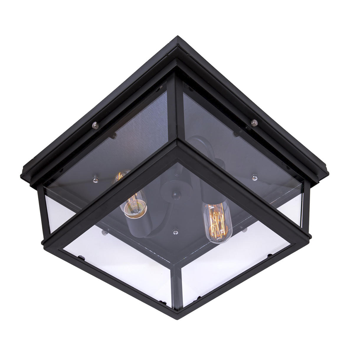 Потолочный светильник LOFT IT Modern filament LOFT3110-2C