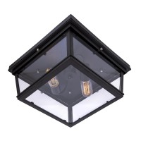 Потолочный светильник LOFT IT Modern filament LOFT3110-2C