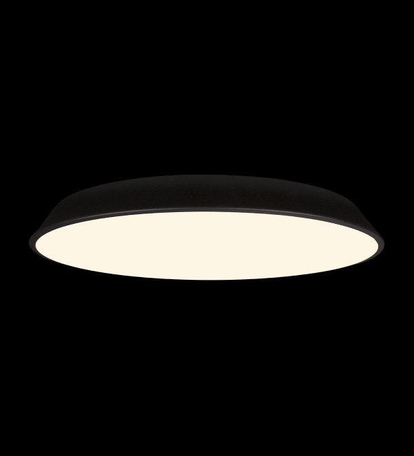 Потолочный светильник LOFT IT Brim 10226 Black