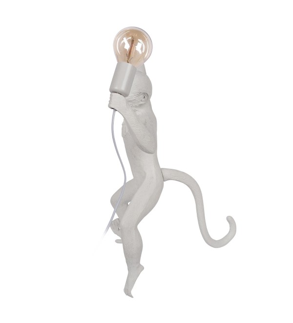 Настенный светильник LOFT IT Monkey 10314W/B
