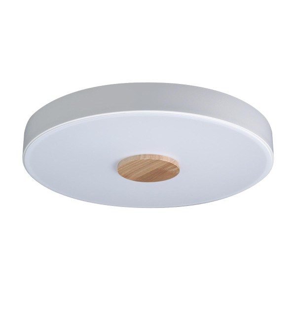 Потолочный светильник LOFT IT Axel 10003/24 White