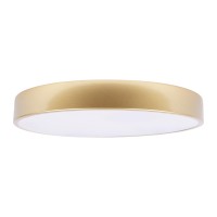 Потолочный светильник LOFT IT Flims 10228/A